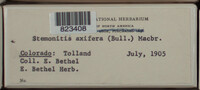 Image Associated With the Occurence